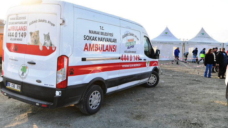 Mamak Belediyesi Sokak Hayvanları Ambulansı Samandağ'da