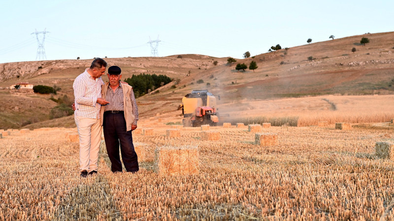 Mamak-Ortaköy'de Çiftçilerimiz Hasattan Memnun