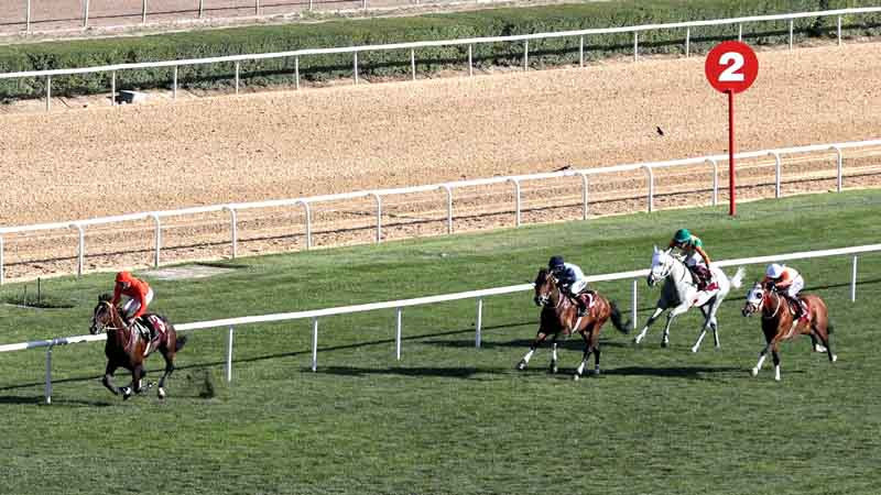 At Yarışlarında Başkanlık Koşusunu Taylolo Kazandı