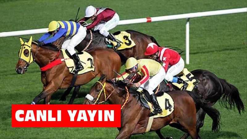 Türkiye Jokey Kulübü Canlı İzle - At Yarışlarına Anında Bağlanın!