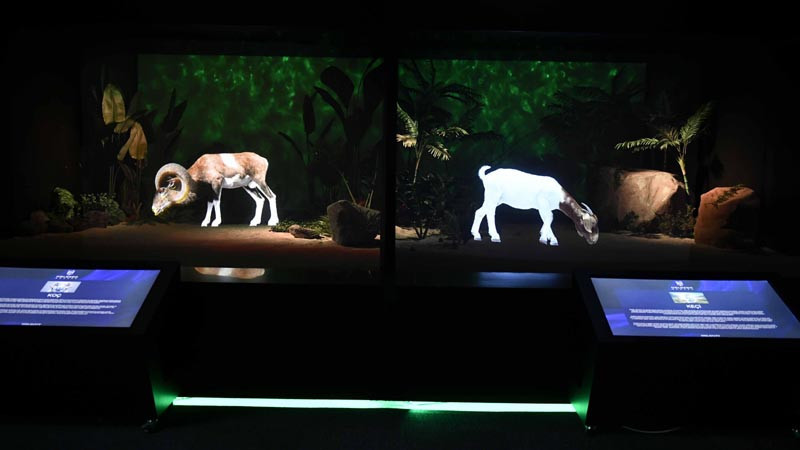 Ankara'da Dijital Hayvanat Bahçesi Açılıyor