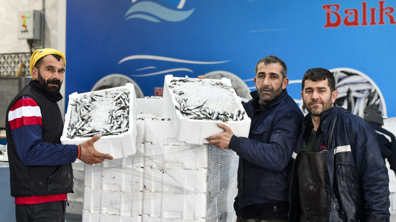 Ankara Balık Hali'nde Esnafın Yüzü Gülüyor