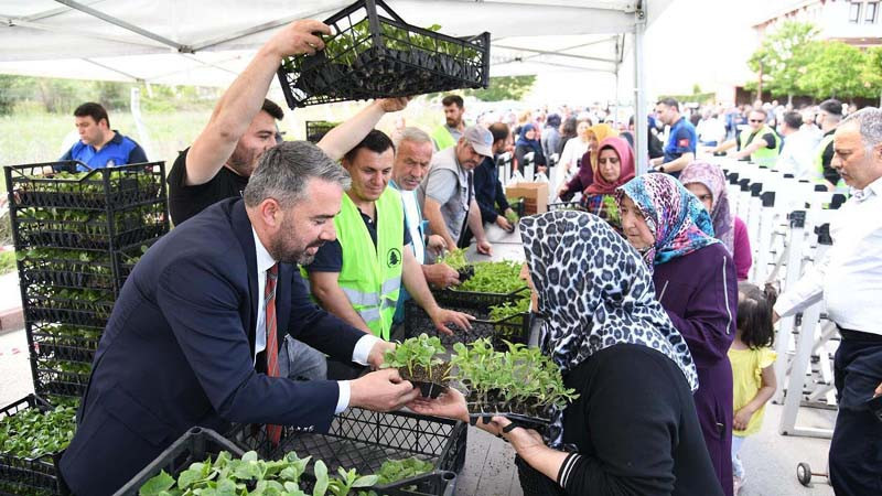 Pursaklar'da Ata Tohumu Sebze Fidesi Dağıtımı