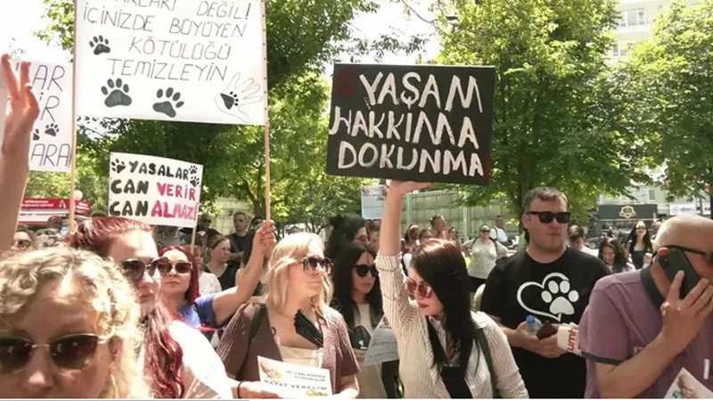 Hayvan Hakları Savunucularından Protesto Eylemi