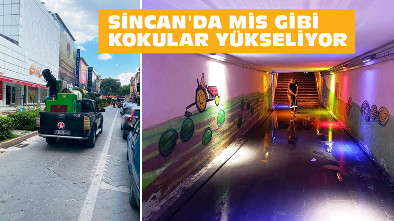 Sincan'da Lavanta ve Gül Kokuları Yayılıyor