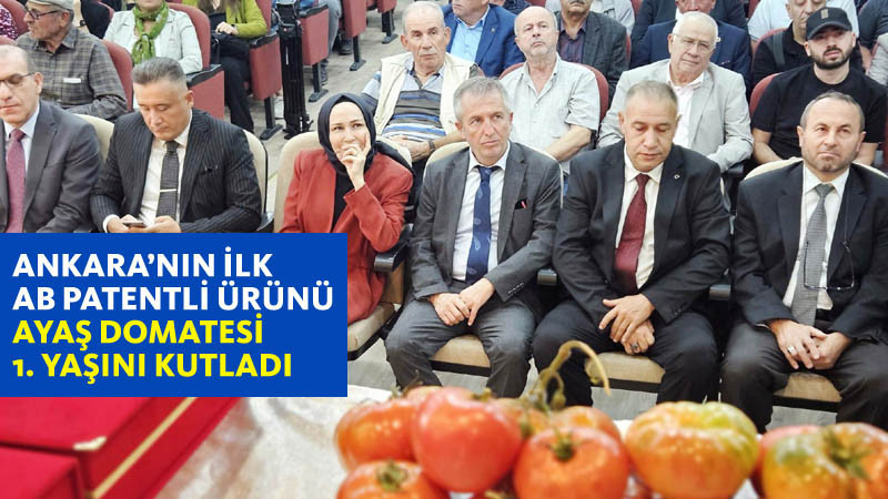 Ayaş Domatesi 1. Yılını Kutladı 