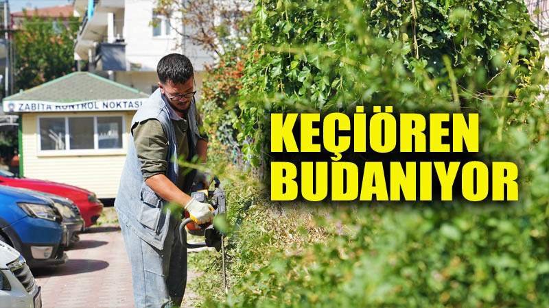 Keçiören'de Mevsimlik Budama Çalışması