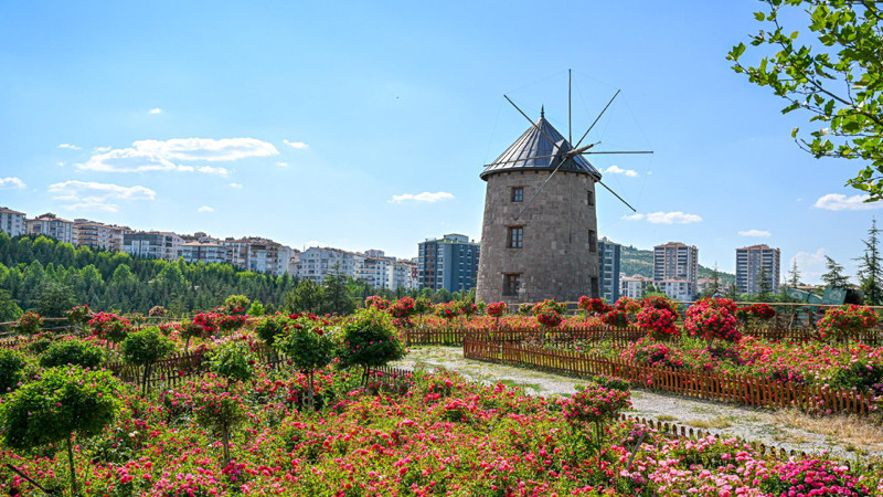 Ankara'da Fotoğraf Tutkunlarının Yeni Adresi