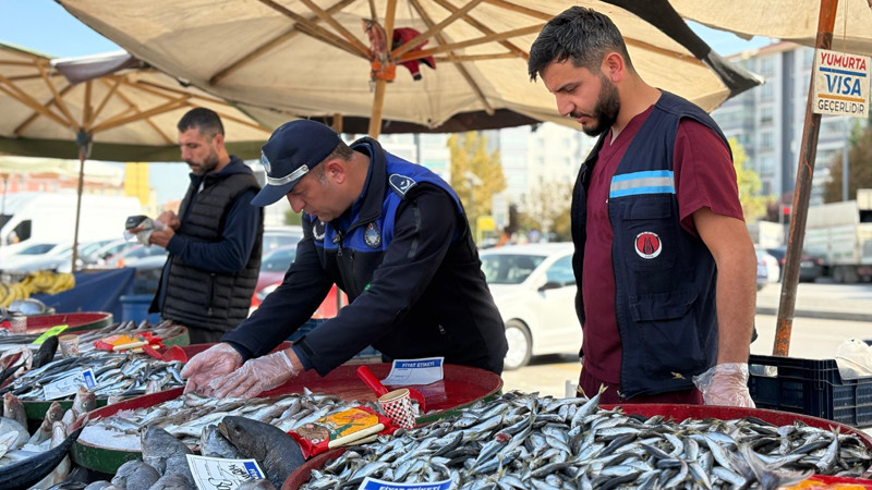 Sincan'da Balık Tezgahlarına Sıkı Denetim