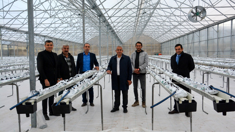 Kahramankazan'da Termal Sera İle Verimli Üretim Başlıyor