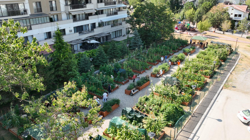 Kent Bostanlarında İlkbahar Dönemi Başlıyor