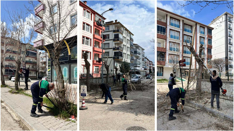 Kahramankazan'da Ağaçlar Budanıyor