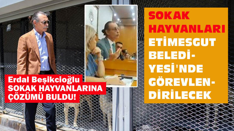 Erdal Beşikcioğlu'ndan Sokak Hayvanları İçin Çözüm