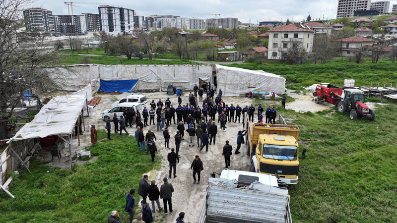 Sincan'da Ruhsatsız Ahırlara Geçit Yok